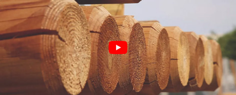 Le magasin en vidéo